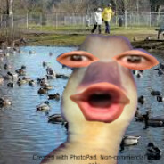 Duckid avatar