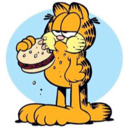 FAT Garfield