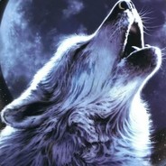 zZSleepyWolfZz avatar