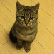 好像少了点什么