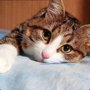 Baoziああああああああああああ