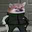 Toonaf