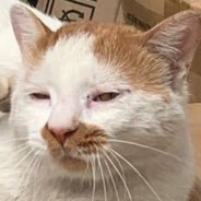 让我们摇起来好嘛