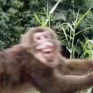 闪光反清の亲妈空中劈