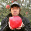 Apple Chudcockens