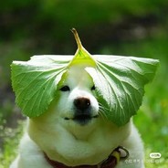 我也无敌