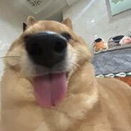 你也不想他失去工作吧嫂嫂