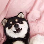 自抱自泣饭蒸蒸