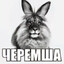 Черемша