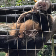 NEGRO PRETO ESCURO DARCK BLACK