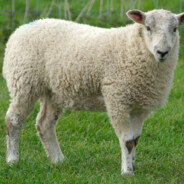 Agrigator