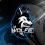 IT5 WoLFiE