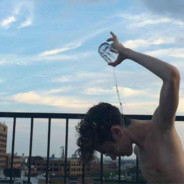 你是我最爱的猫