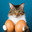 MeowMyEggs