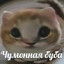 Чумонная БУБА