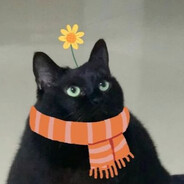 Cariño