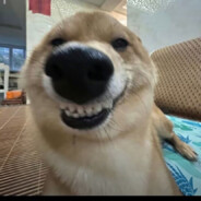 小人物也有大冒险