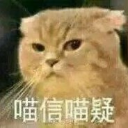 你看我捶不捶你就Vans了