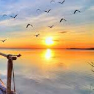 没开你封我现在我开了