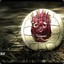 wilson4lif3
