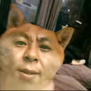 刚升职，快来吸升职气