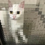 Big Avatar