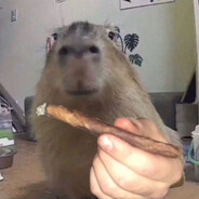 capy