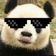ПАНДА