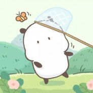 Caroline家的芒果鹰