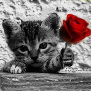 Никита_Клитарчук