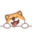 ♥Shiba Inu♥