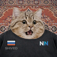 SHVED