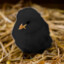 dack : the little duck