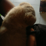 我起了，跟我白给