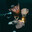 Cris_Xrs