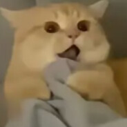 夜袭寡妇村  2.0