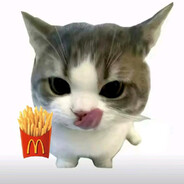 猫猫不吃M
