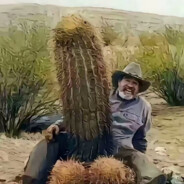 槟榔是黑的 法棍是硬的