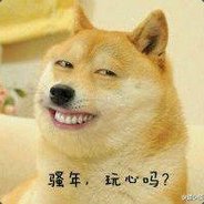 你在说什么？我没有显示器