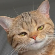 排到我算你们俩倒霉