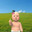 Travadão SKINS