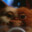 Gizmo