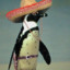 Pepe The Deported Penguin