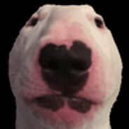 newplayercsgo
