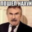 Dolboeb_VAMP