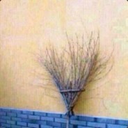 xinsho002 兄弟加我  我是