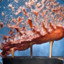 Explosive HotDog
