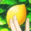 Lemonan