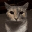 Cornelius