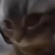 chipi chipi chapa chapa